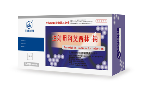 注射用阿莫西林钠